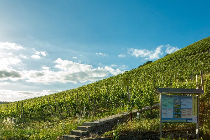 Weinhotel Ayler Kupp Kültér fotó